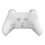 Play Station Controller PRO BFG