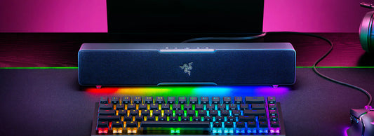 Razer Leviathan V2 X PC Gaming Soundbar